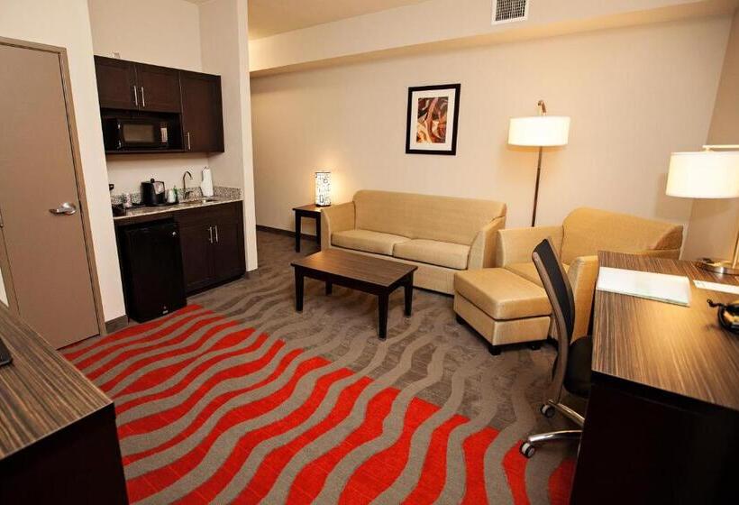 سوئیت با تخت بزرگ, Holiday Inn Houston West   Westway Park, An Ihg