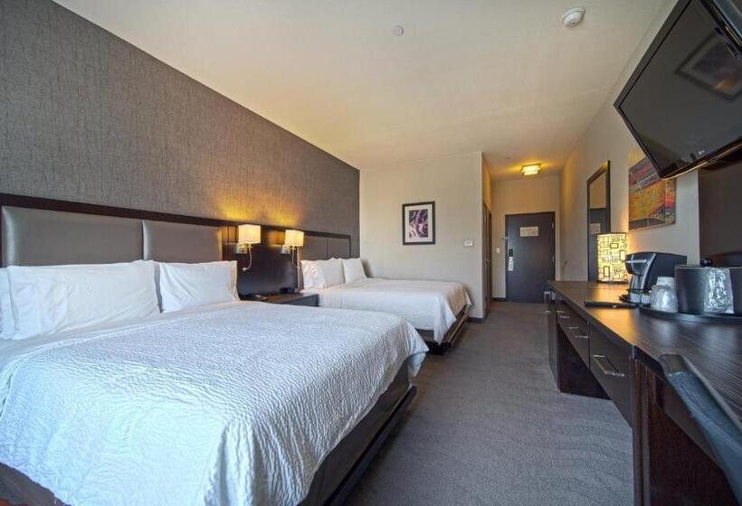 اتاق استاندارد برای معلولان, Holiday Inn Houston West   Westway Park, An Ihg