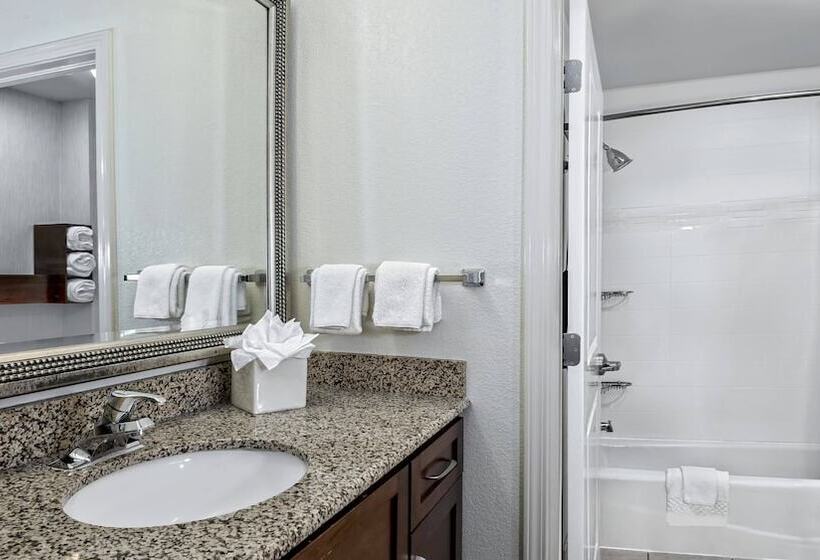 适合残疾人士使用的套间, Residence Inn By Marriott San Antonio Seaworld/lackland