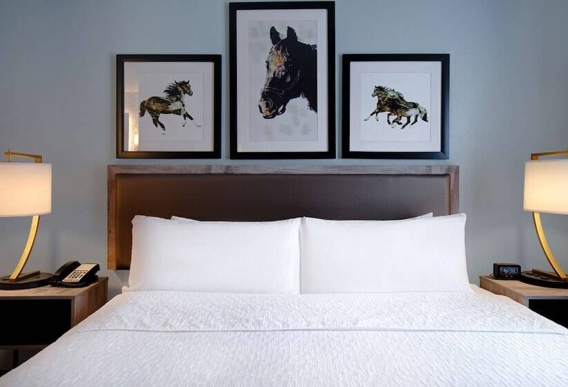 套房, Homewood Suites Lexington Hamburg