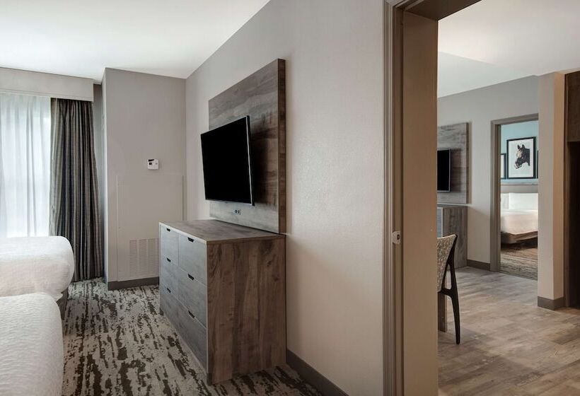 带2个卧室的套房, Homewood Suites Lexington Hamburg