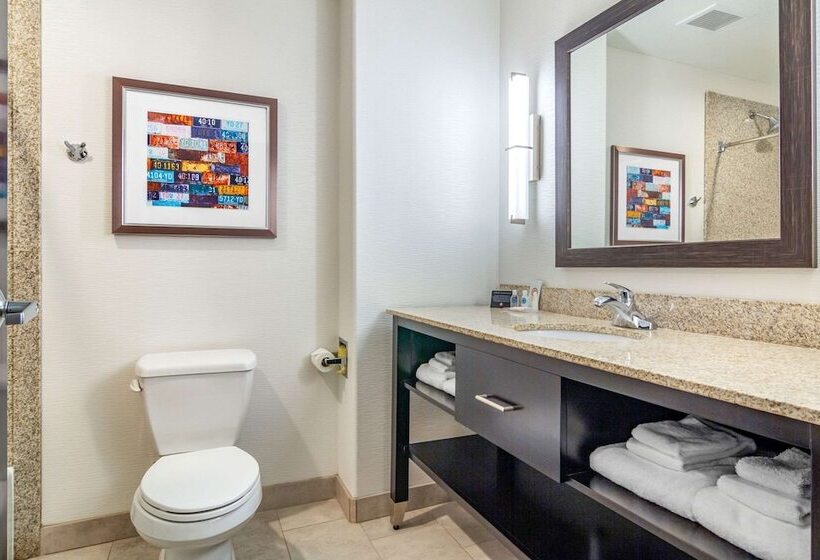 Люкс, Comfort Inn & Suites Brighton Denver Ne Medical Center