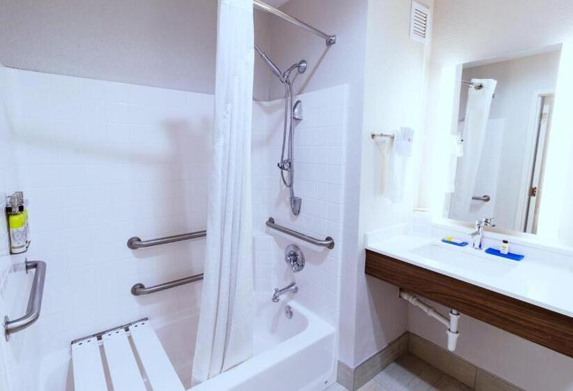 חדר סטנדרט מותאם לאדם עם מוגבלויות, Holiday Inn Express Hotel & Suites Crestview South I 10, An Ihg