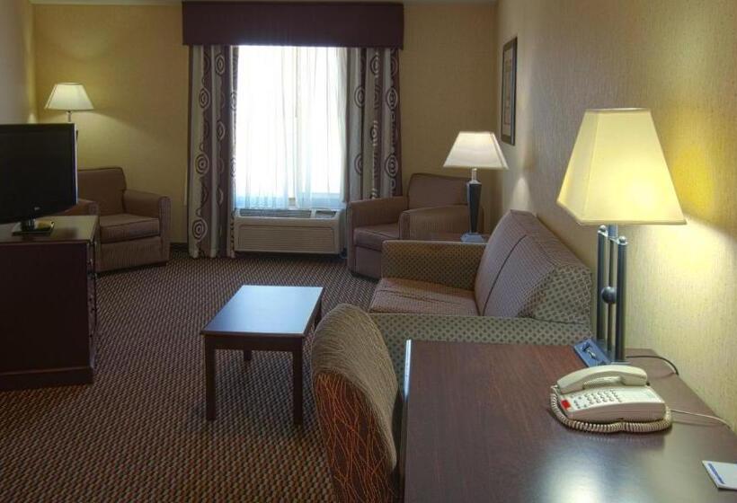 Люкс, Holiday Inn Express & Suites Nampa   Idaho Center, An Ihg