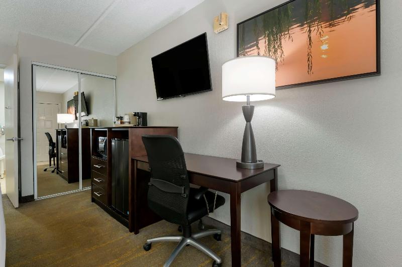 스탠다드 룸 킹사이즈 침대, Holiday Inn Express Hotel & Suites East Lansing, An Ihg