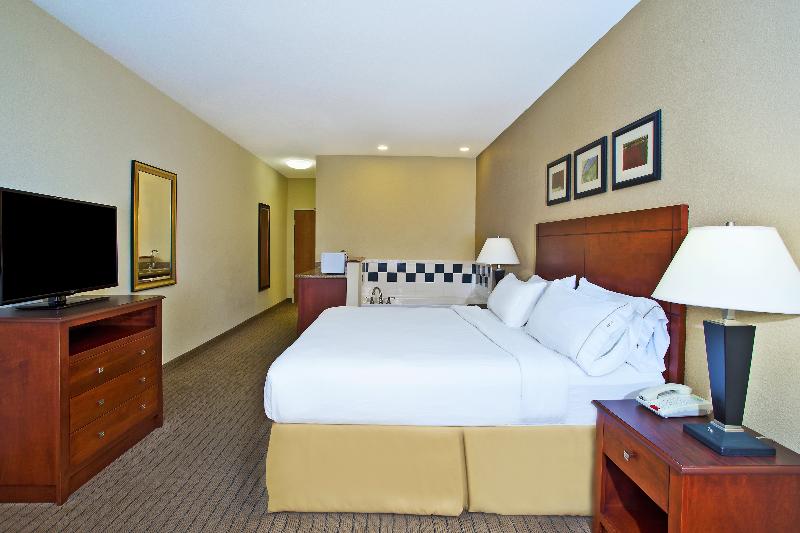 스위트 킹사이즈 침대, Holiday Inn Express Hotel & Suites East Lansing, An Ihg