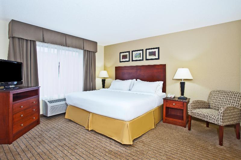 스탠다드 룸 킹사이즈 침대, Holiday Inn Express Hotel & Suites East Lansing, An Ihg