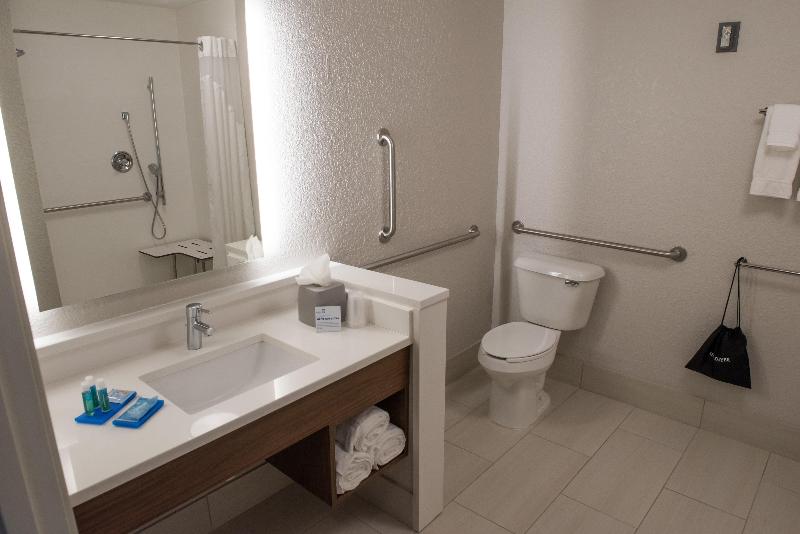 스탠다드 룸 킹사이즈 침대, Holiday Inn Express Hotel & Suites East Lansing, An Ihg