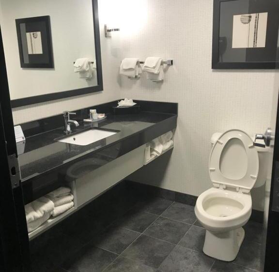 جناح سرير كينج, Comfort Suites Williamsburg Historic Area