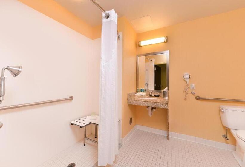 Номер Стандарт Кровать Кинг Адаптированный для Инвалидов, Holiday Inn Express And Suites Dickson City, An Ihg