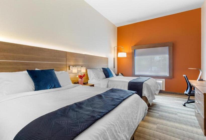 Habitació Estàndard, Holiday Inn Express Houston Alvin, An Ihg