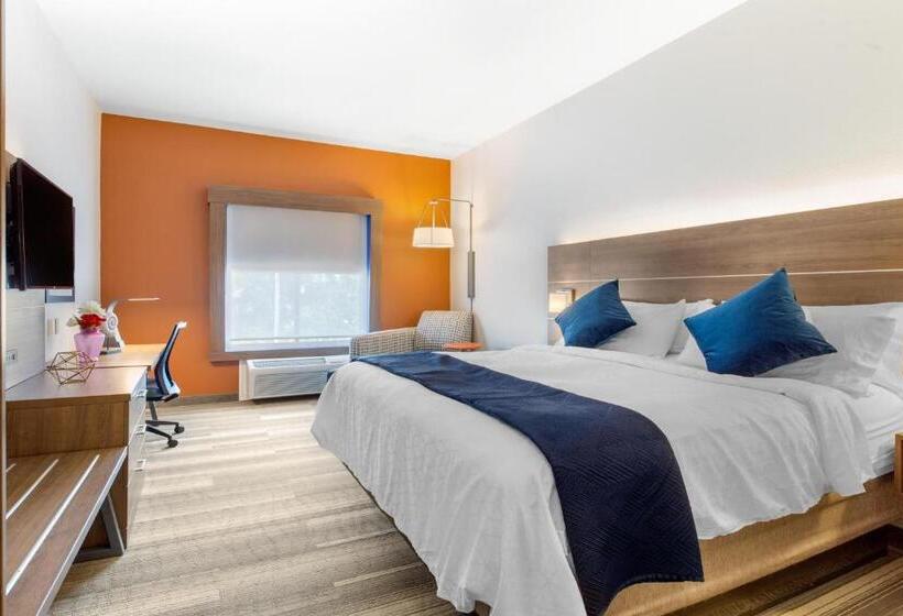 Suite, Holiday Inn Express Houston Alvin, An Ihg