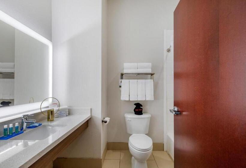 Habitació Estàndard Llit King Adaptada per a persones amb mobilitat reduïda, Holiday Inn Express Houston Alvin, An Ihg
