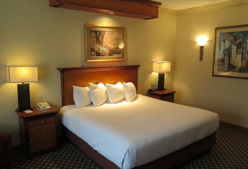 Deluxe Værelse, Harrah S Joliet Casino &