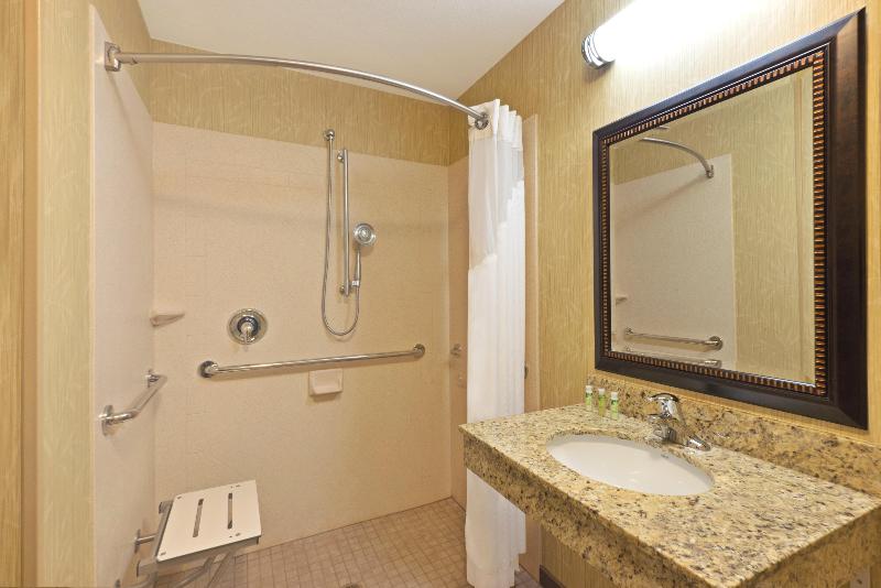 스탠다드 룸 킹사이즈 침대, Holiday Inn Express Richfield, An Ihg