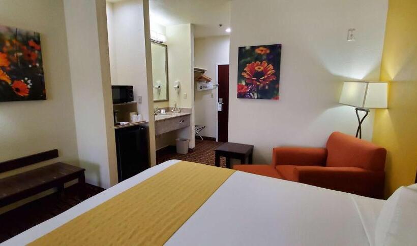 Стандартный Номер Кровать Кинг, Best Western Executive Inn & Suites