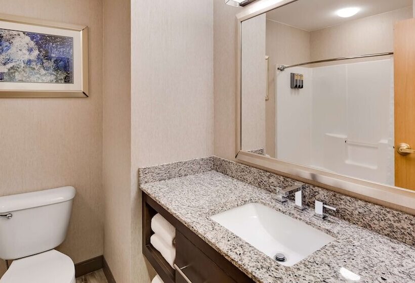 Люкс, Best Western Plus River Escape Sylva / Dillsboro