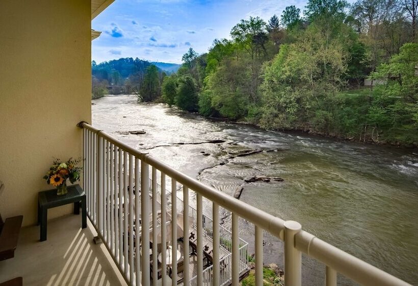 Люкс Вид на Реку, Best Western Plus River Escape Sylva / Dillsboro