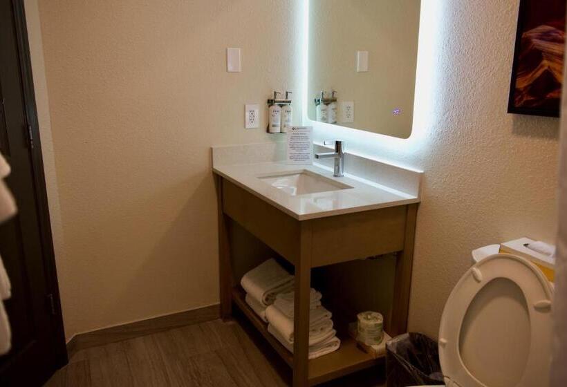 Номер Стандарт Адаптированный для Инвалидов, Candlewood Suites Harrisonburg, An Ihg