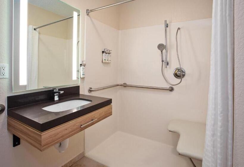 Люкс Адаптированный для Инвалидов, Candlewood Suites Kenosha, An Ihg