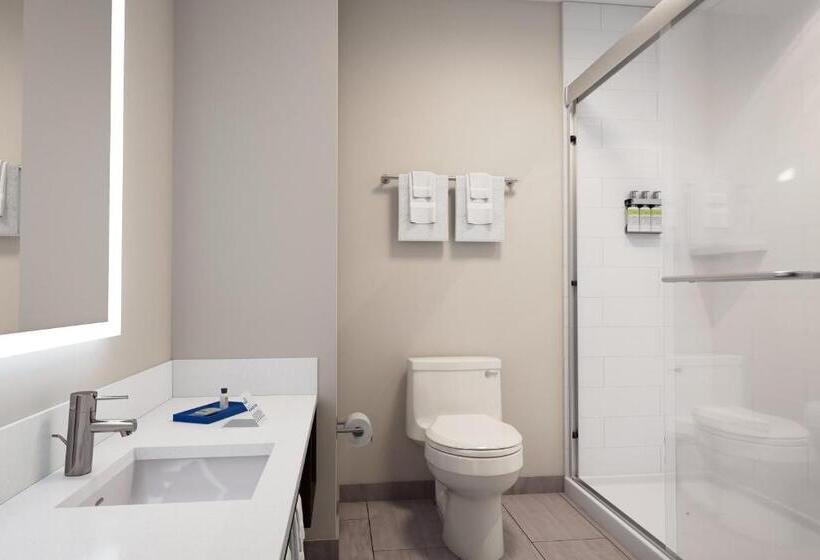 장애인을 위한 킹사이즈 침대 스탠다드 룸, Holiday Inn Express & Suites Englewood   Denver South, An Ihg