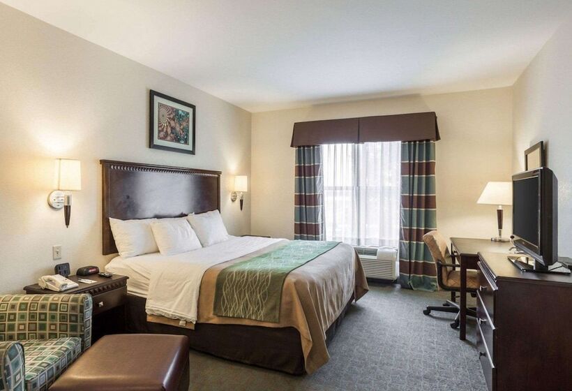 Люкс Адаптированный для Инвалидов, Quality Inn Donaldsonville  Gonzales
