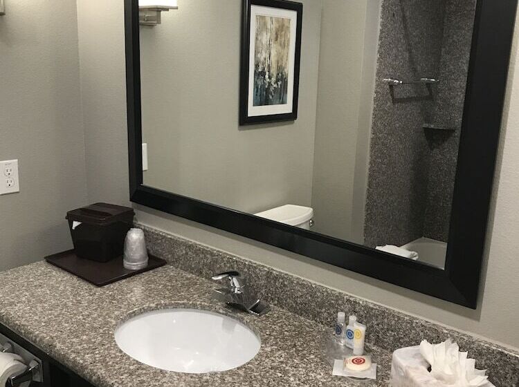 스위트, Comfort Suites At Katy Mills