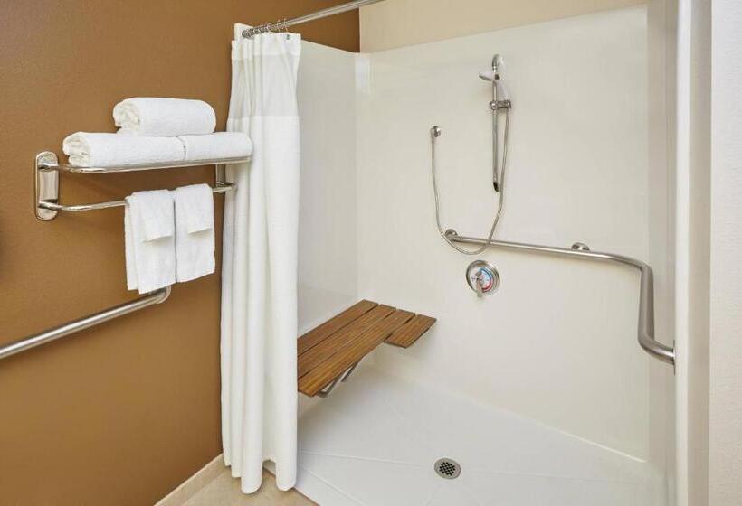 带大床的标准间, Fairfield Inn And Suites Chicago Lombard