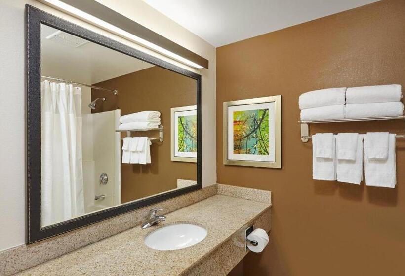标准间, Fairfield Inn And Suites Chicago Lombard
