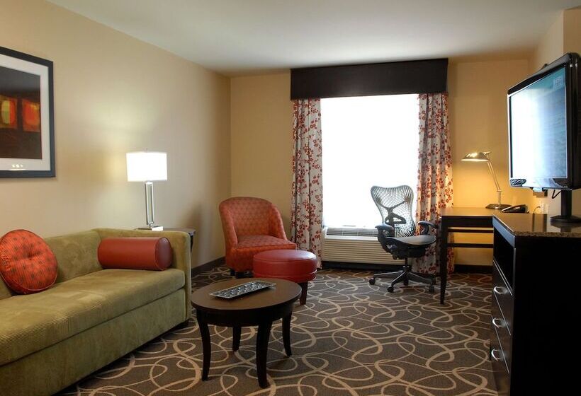 스탠다드 룸, Hilton Garden Inn Atlanta/peachtree City