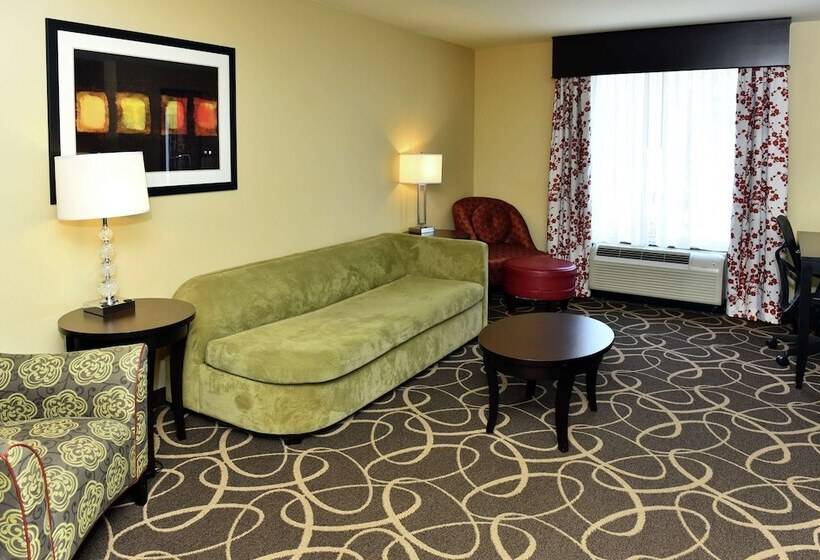스탠다드 룸, Hilton Garden Inn Atlanta/peachtree City