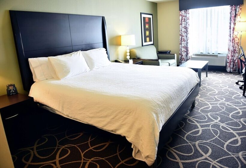 스탠다드 룸, Hilton Garden Inn Atlanta/peachtree City