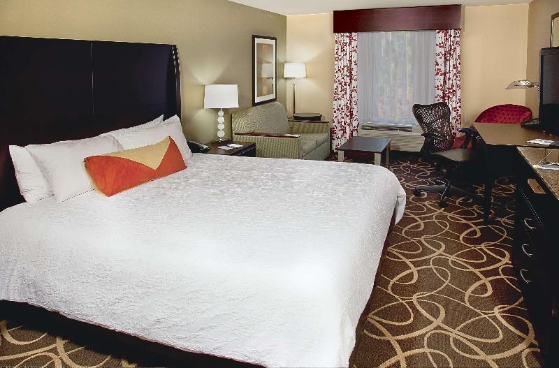 주니어 스위트 킹사이즈 침대, Hilton Garden Inn Atlanta/peachtree City
