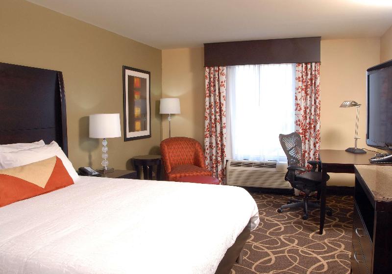 스탠다드 룸 킹사이즈 침대, Hilton Garden Inn Atlanta/peachtree City
