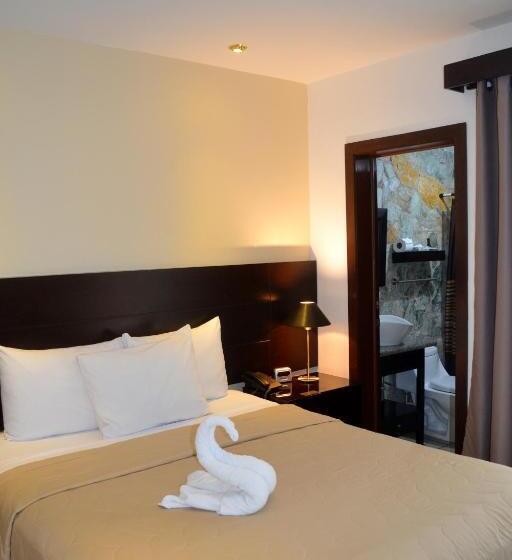 스탠다드 싱글 룸, Villa Florencia Zona Rosa