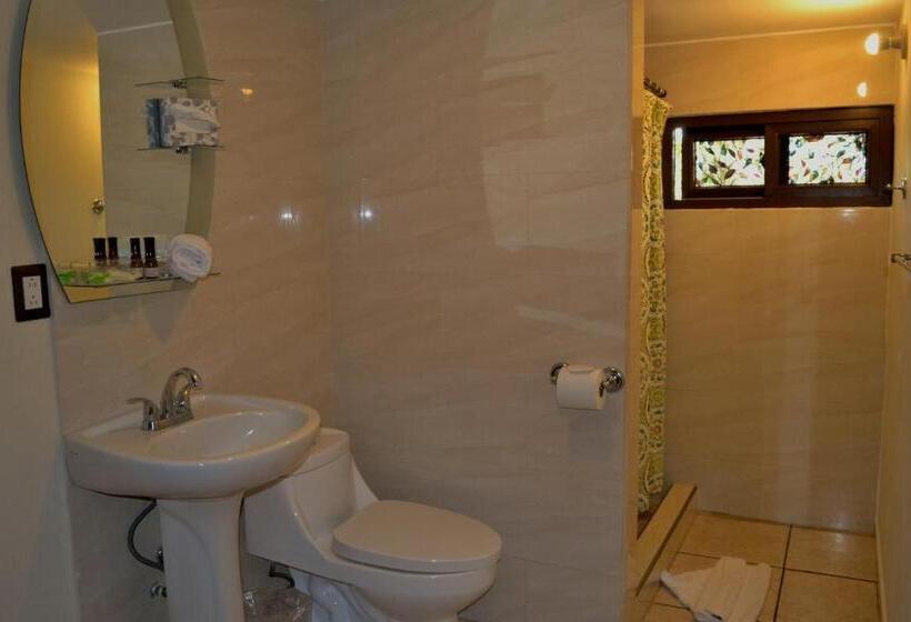 스탠다드 룸, Villa Florencia Zona Rosa