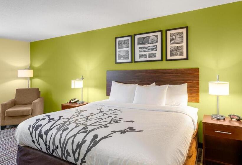 适合残疾人士使用的带超级大床的标准间, Sleep Inn & Suites Harbour Pointe