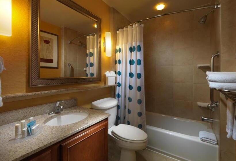 Студия Стандарт Кровать Куин, Towneplace Suites Houston North/shenandoah