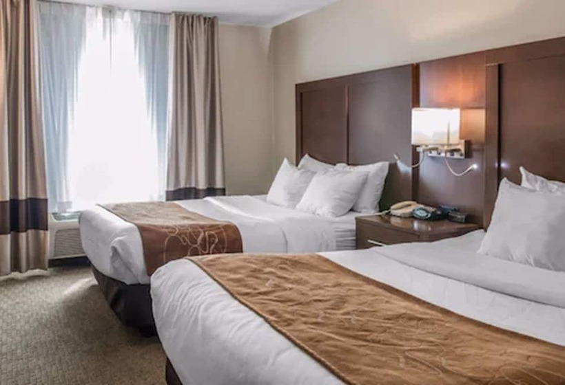 Люкс, Comfort Suites