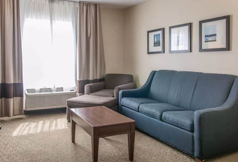 Люкс, Comfort Suites