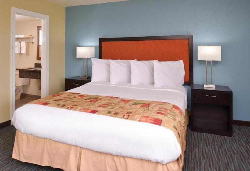 Номер Стандарт 2 Двуспальные Кровати, Bay View Inn   Morro Bay