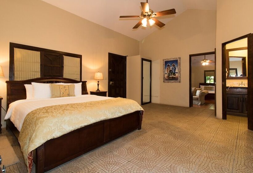 ジュニアスイート, Valle Escondido Wellness Resort