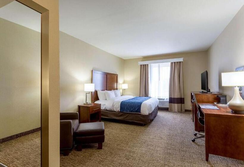 스탠다드 룸 킹사이즈 침대, Comfort Inn & Suites Airport
