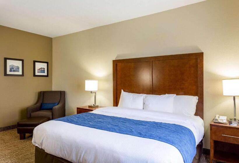 스탠다드 룸 킹사이즈 침대, Comfort Inn & Suites Airport