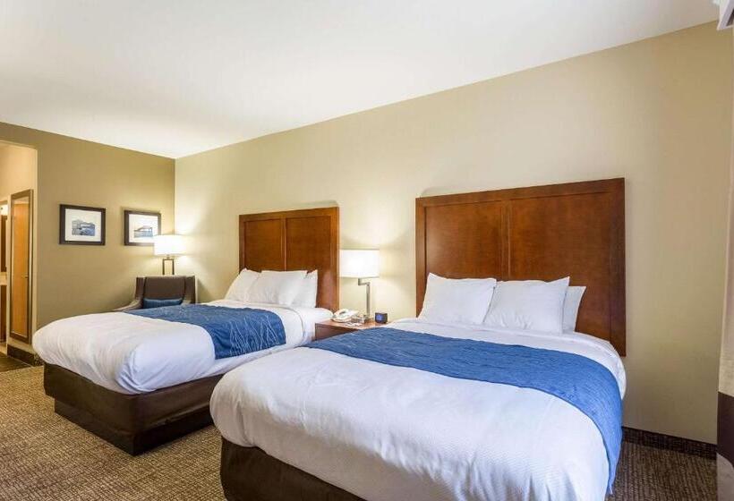 스탠다드 룸, Comfort Inn & Suites Airport