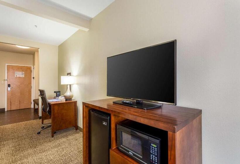 스위트 킹사이즈 침대, Comfort Inn & Suites Airport