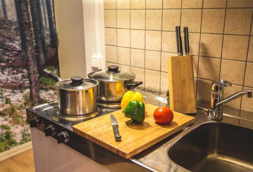آپارتمان 2 خوابه, Central City Apartments