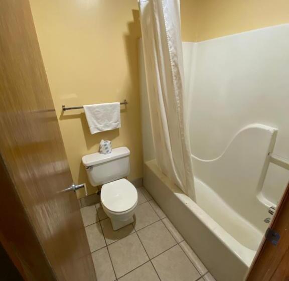 스탠다드 룸 킹사이즈 침대, Budget Host Inn   Baxley