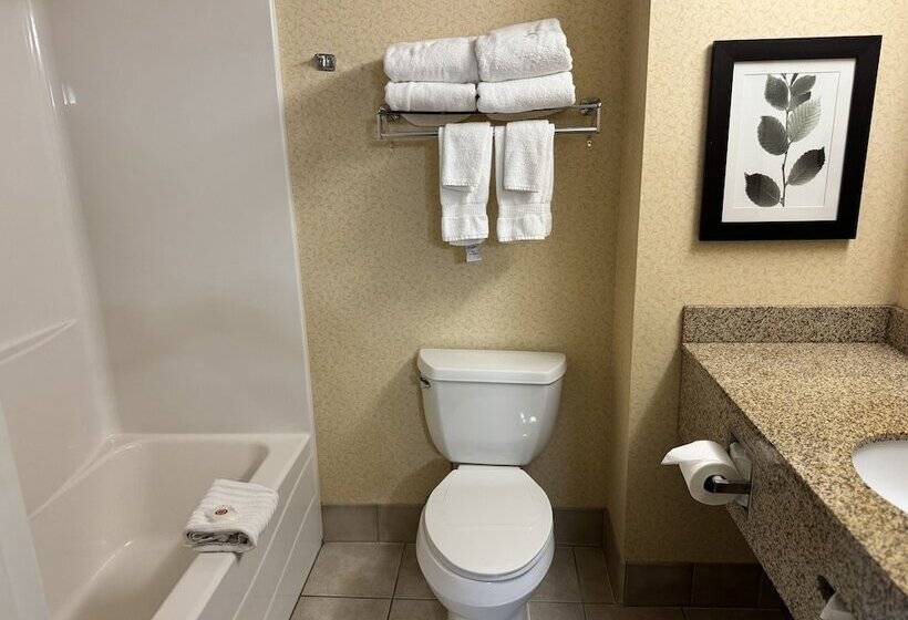 Люкс, Comfort Inn & Suites St. Paul Northeast