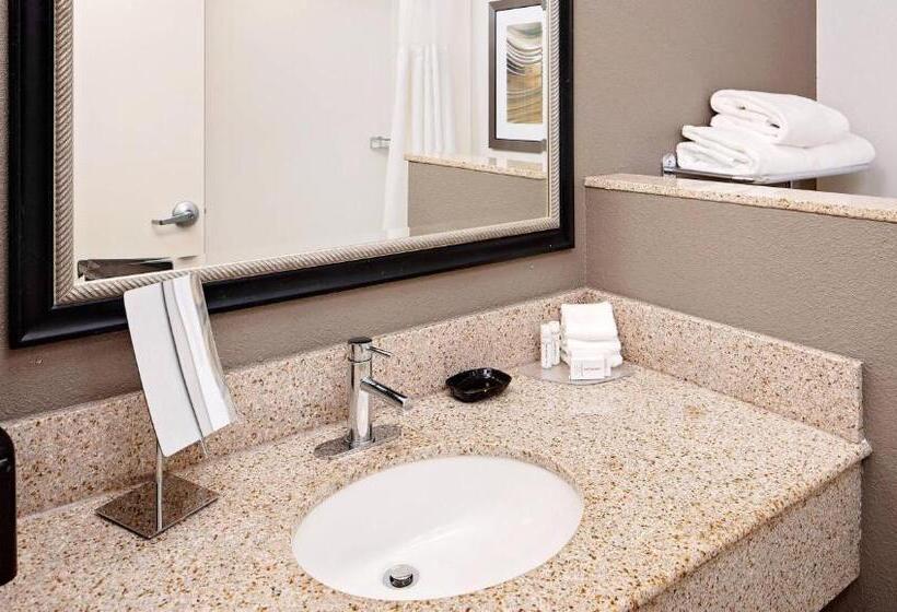 장애인을 위한 킹사이즈 침대 스탠다드 룸, Courtyard By Marriott Pittsburgh West Homestead Waterfront